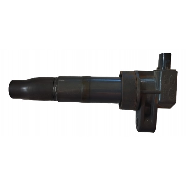Bobina De Ignição Hyundai Santa Fé 3.5 2011 2012 273013c000