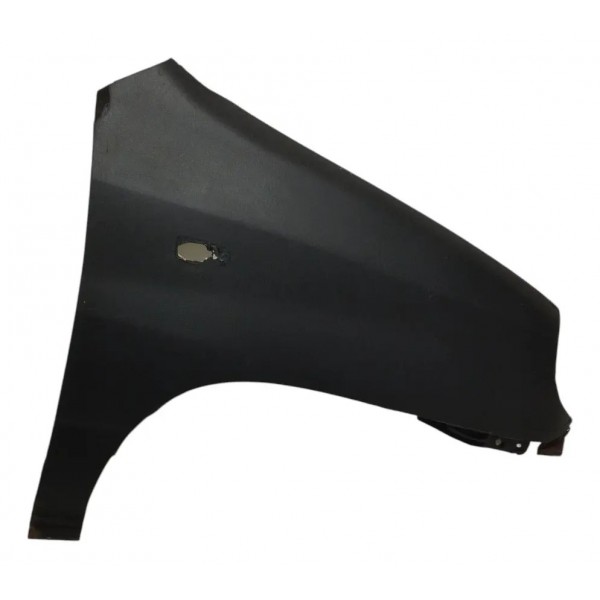 Paralama Direito Hyundai Atos Prime 2002 2002 2003